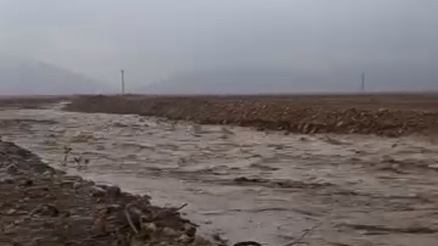 Mardin'de sağanak yağış sonucu dere taştı