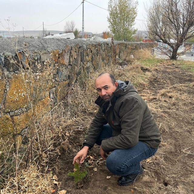 Kars'ta muhtardan örnek davranış: Kayaköprü köyünde fidanlar toprakla buluş...