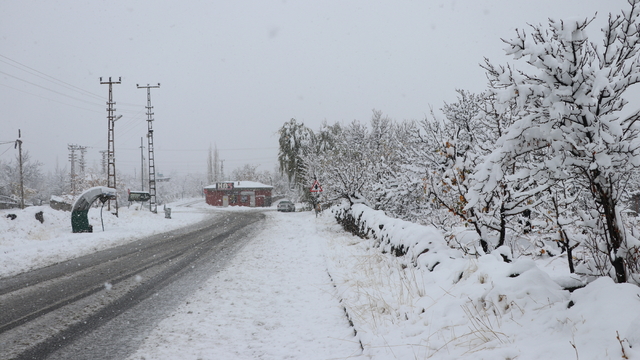 Kayseri'de kar yağışı