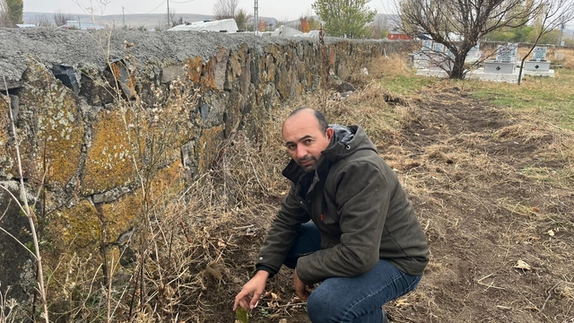 Kars'ta muhtardan örnek davranış: Kayaköprü köyünde fidanlar toprakla buluştu