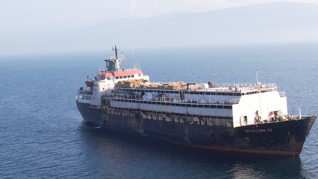 Bandırma açıklarında 24 gün bekletilen Spiridon II hayvan gemisi geri dönüş yolunda: Uzmanlardan "acil tehdit" uyarısı
