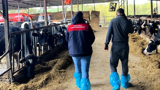 Pınarhisar'da ari hayvan işletmelerindeki çalışmalar incelendi