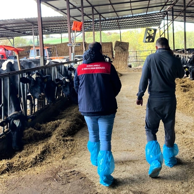 Pınarhisar'da ari hayvan işletmelerindeki çalışmalar incelendi