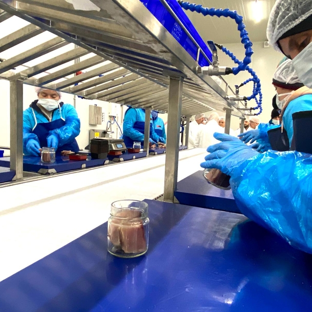 Sinop'ta "Lakerda ve Su Ürünleri Üretim Tesisi"nin tanıtımı yapıldı