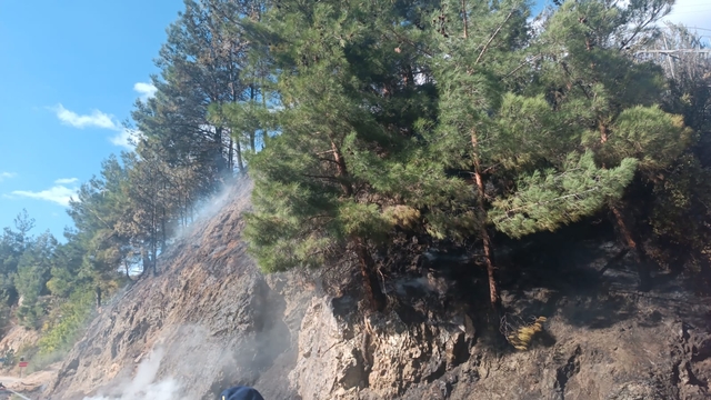 Mersin'de seradan ormanlık alana sıçrayan yangın söndürüldü