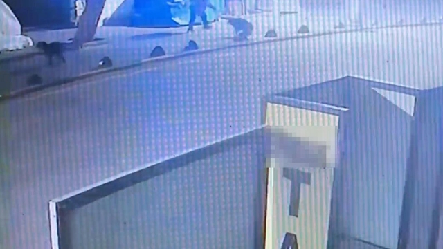 Emekli astsubay, sokak köpeğini tabancayla vurdu; o anlar güvenlik kamerasında