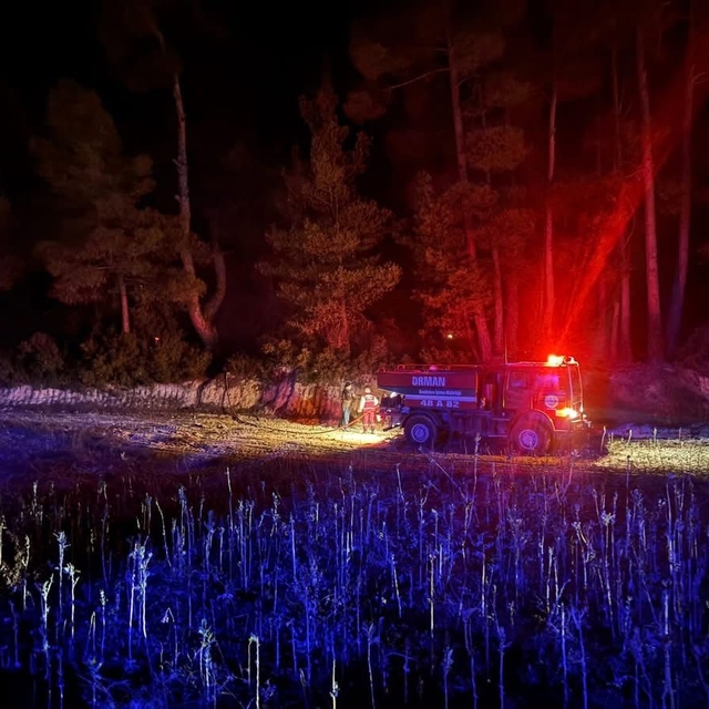 Muğla'da çıkan orman yangını kısa sürede kontrol altına alındı