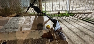 Bursa'da otomobille çarpışan skuterin sürücüsü ağır yaralandı