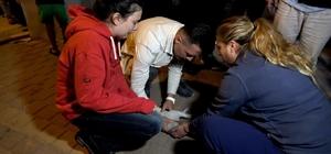 Antalya'daki yangında 2 kedi telef oldu, sahipleri gözyaşlarına boğuldu
Ked...