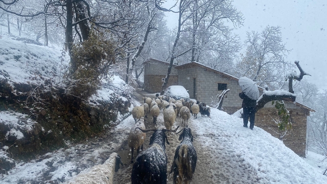 Van'da Karabet Geçidi'nde kar yağışı etkili oldu