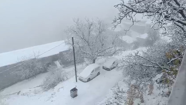 Van'ın Bahçesaray ilçesinde kar etkili oldu