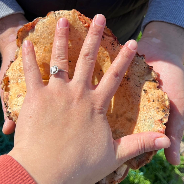 Kaş'ta ormanlık alandan toplanan mantar geçim kapısı oldu