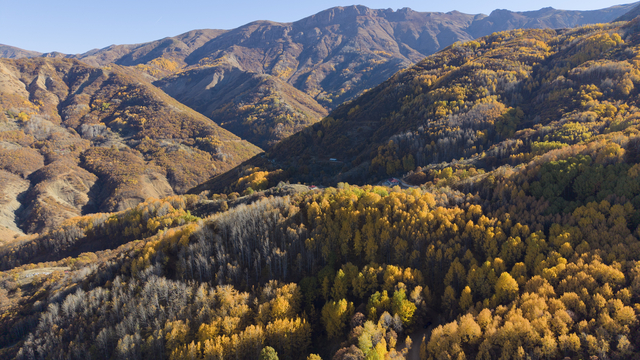 Tunceli'nin Salördek ormanları sonbaharda doğayla buluşmak isteyenleri ağırlıyor