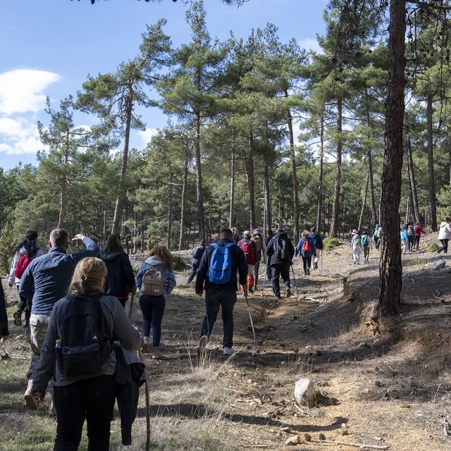 'Tarihi Kilikya Yolu Yürüyüşü'ne yoğun ilgi sürüyor
Kilikya Yolu Yürüyüşü Ç...