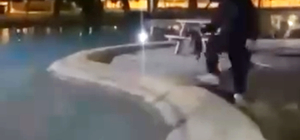 Sokak kedisini defalarca süs havuzuna attılar