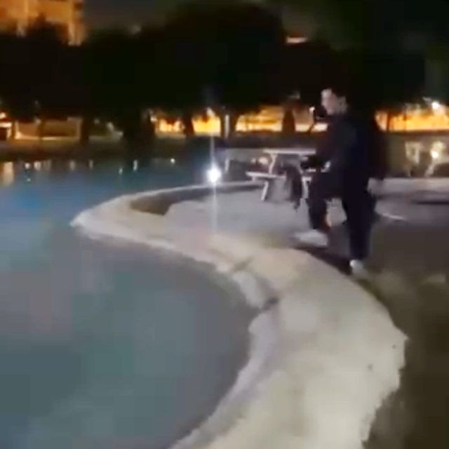 Sokak kedisini defalarca süs havuzuna attılar