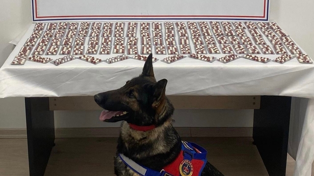 Uyuşturucuyla yakalanan şahıs utuklandı