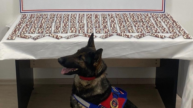 Kastamonu'da 1344 uyuşturucu hapla yakalanan şüpheli tutuklandı