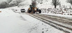 Siirt'te kar nedeniyle yolda mahsur kalan araçlar kurtarıldı
