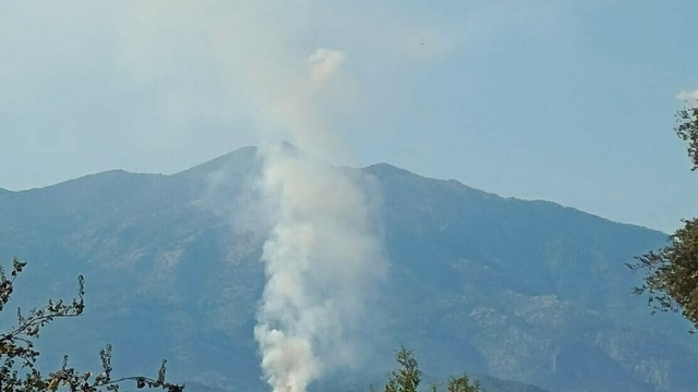 Muğla Seydikemer'de orman yangını