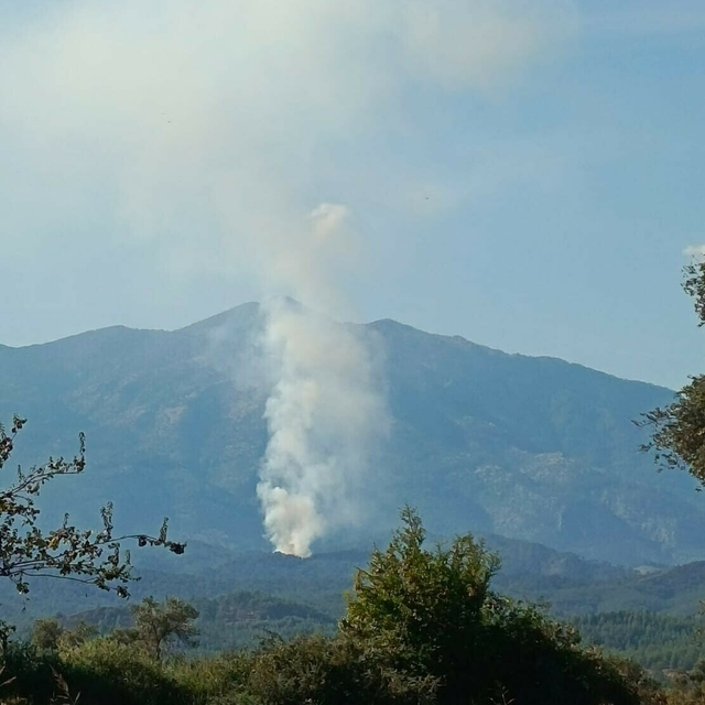Muğla Seydikemer'de orman yangını