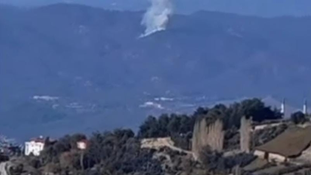 Seydikemer'de orman yangını