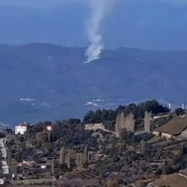 Seydikemer'de orman yangını