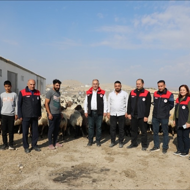 Keban'da 400 küçükbaş kapasiteli modern ağıl faaliyete başladı