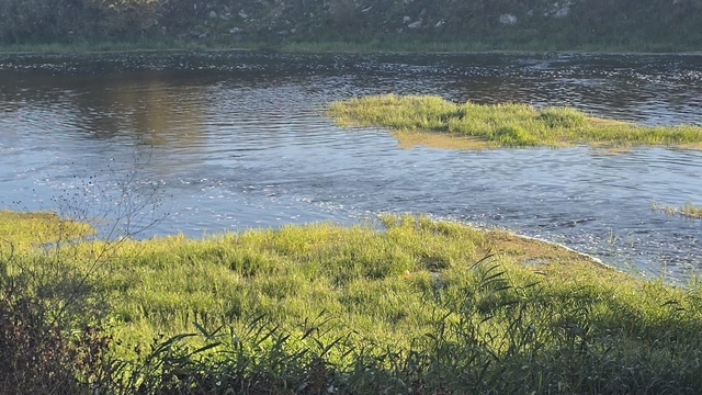 Canbolu Deresi'nde acı oyun: 10 yaşındaki Hızır Ali hayatını kaybetti
