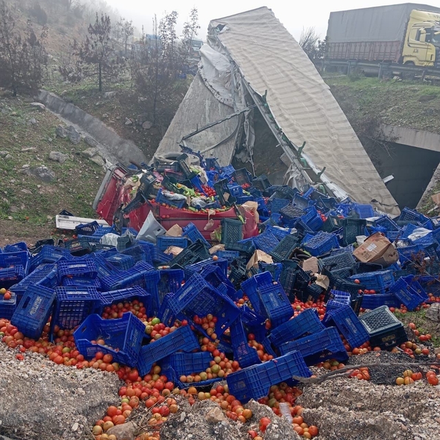 Kontrolden çıkan sebze yüklü tır devrildi: 1 yaralı
Tırın devrilmesi sonucu...