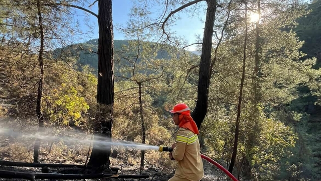 Muğla Seydikemer'de orman yangını (2)