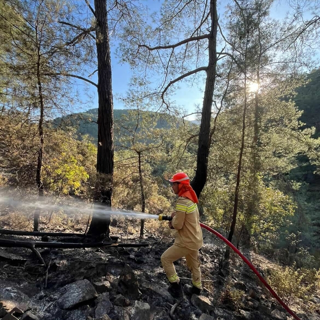 Muğla Seydikemer'de orman yangını (2)
