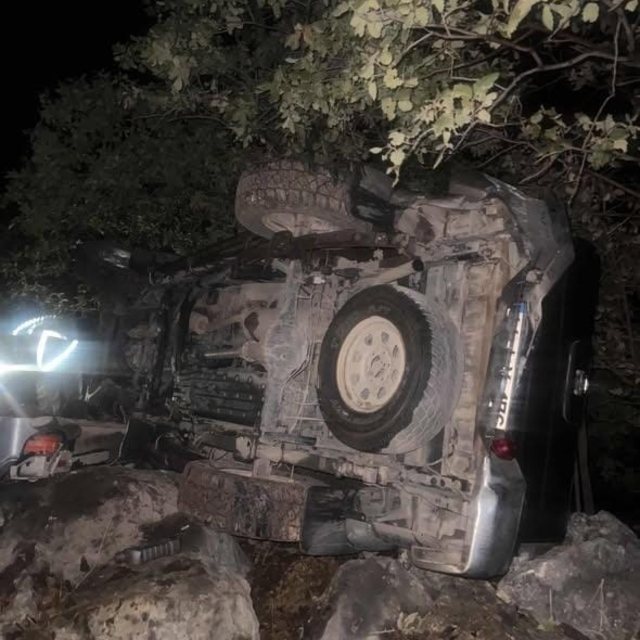 Mardin'de kamyonet şarampole devrildi: 6 yaralı