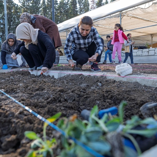 Mahalle bostanlarında kış dikimleri başladı