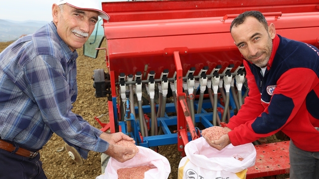 Kocaeli'de çiftçilere yüzde 75 hibeli tohum desteği