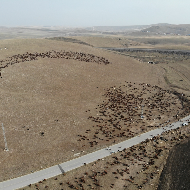 Kars'ta göçerlerin zoru yolculuğu başladı
Soğuk hava, zorlu arazi şartları...