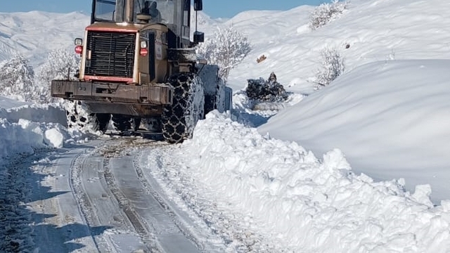 Hakkari ve Muş'ta kapanan 44 yerleşim yerinin yolu ulaşıma açıldı