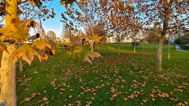 Güzelyurt sonbahar renklerine büründü