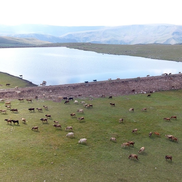 Gölet yapımında Türkiye'ye örnek olan şehir: Erzurum