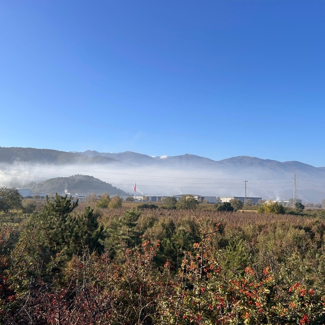 Kestel ve Gürsu'da çevre faciası: "Filtreler çalıştırılmıyor, Bursalıların...