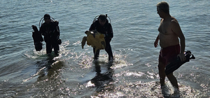 Deniz dibinde balık ağlarına takılı yaralı caretta caretta kurtarıldı