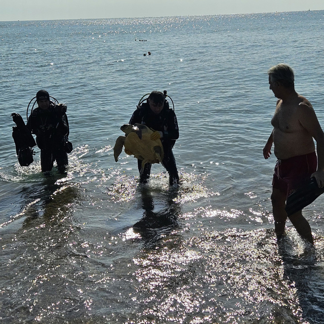 Deniz dibinde balık ağlarına takılı yaralı caretta caretta kurtarıldı