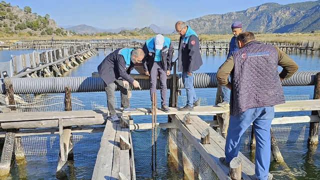 Köyceğiz Gölü, Dalyan ve İztuzu'nda denetim