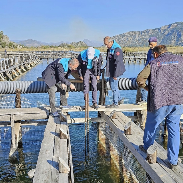 Köyceğiz Gölü, Dalyan ve İztuzu'nda denetim