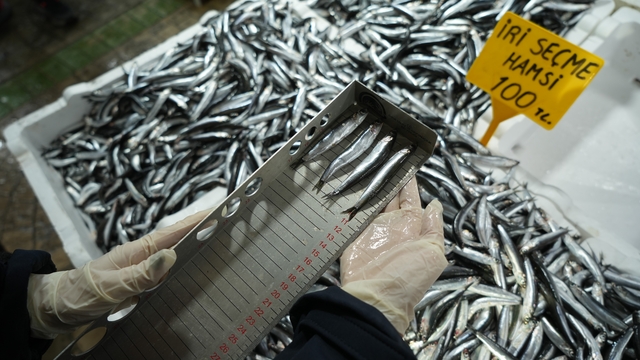 Balık tezgahlarına yakın markaj: 109 kişi ve işletmeye 2,5 milyon TL ceza