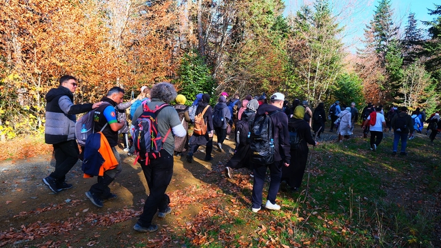Pamukova'da sonbaharın renkleriyle 14 kilometrelik yürüyüş