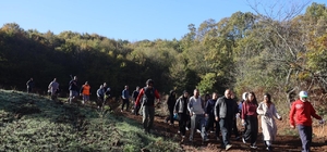 Körfez'de öğrenciler doğa yürüyüşünde buluştu