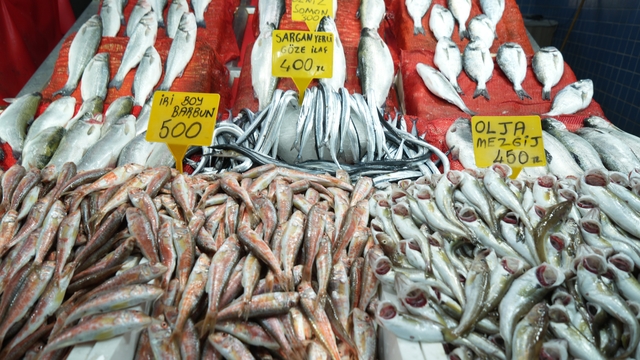 Samsun'da balık fiyatlarında son durum