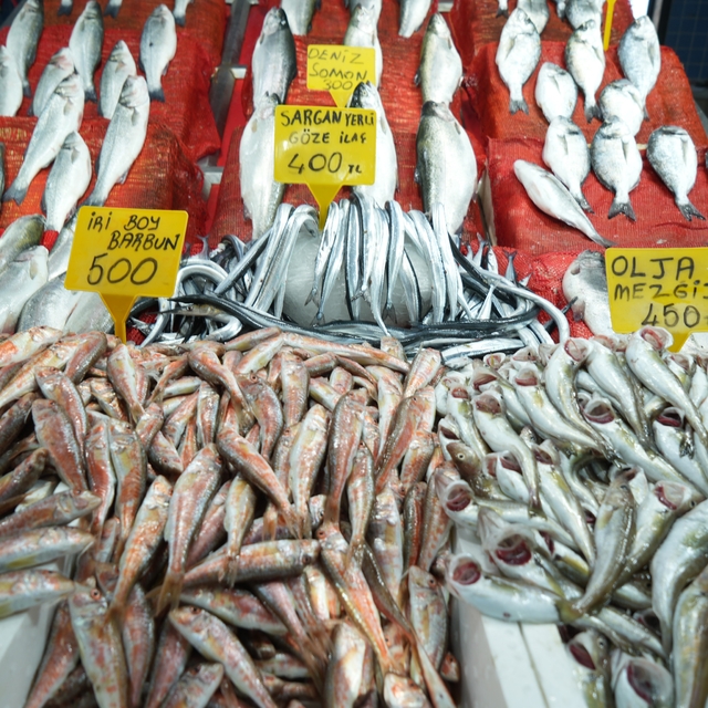 Samsun'da balık fiyatlarında son durum