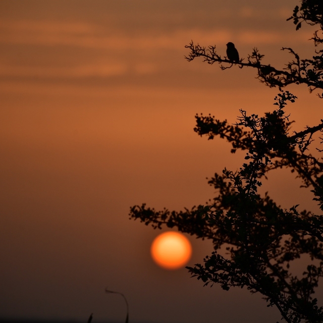 Kuş Cenneti'nde sonbahar